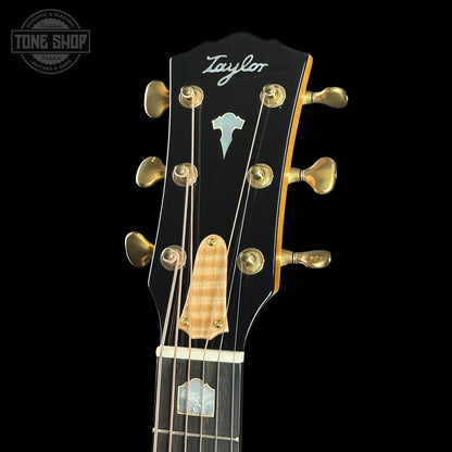 Taylor guitar headstock with brand logo on a black background