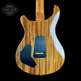 PRS TSG Exclusive Wood Library Artist DGT Frostbite Brazilian Rosewood w/case 0391549