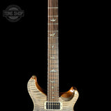 Fretboard of PRS TSG Anniversary Wood Library Artist DGT Frostbite Brazilian Rosewood.
