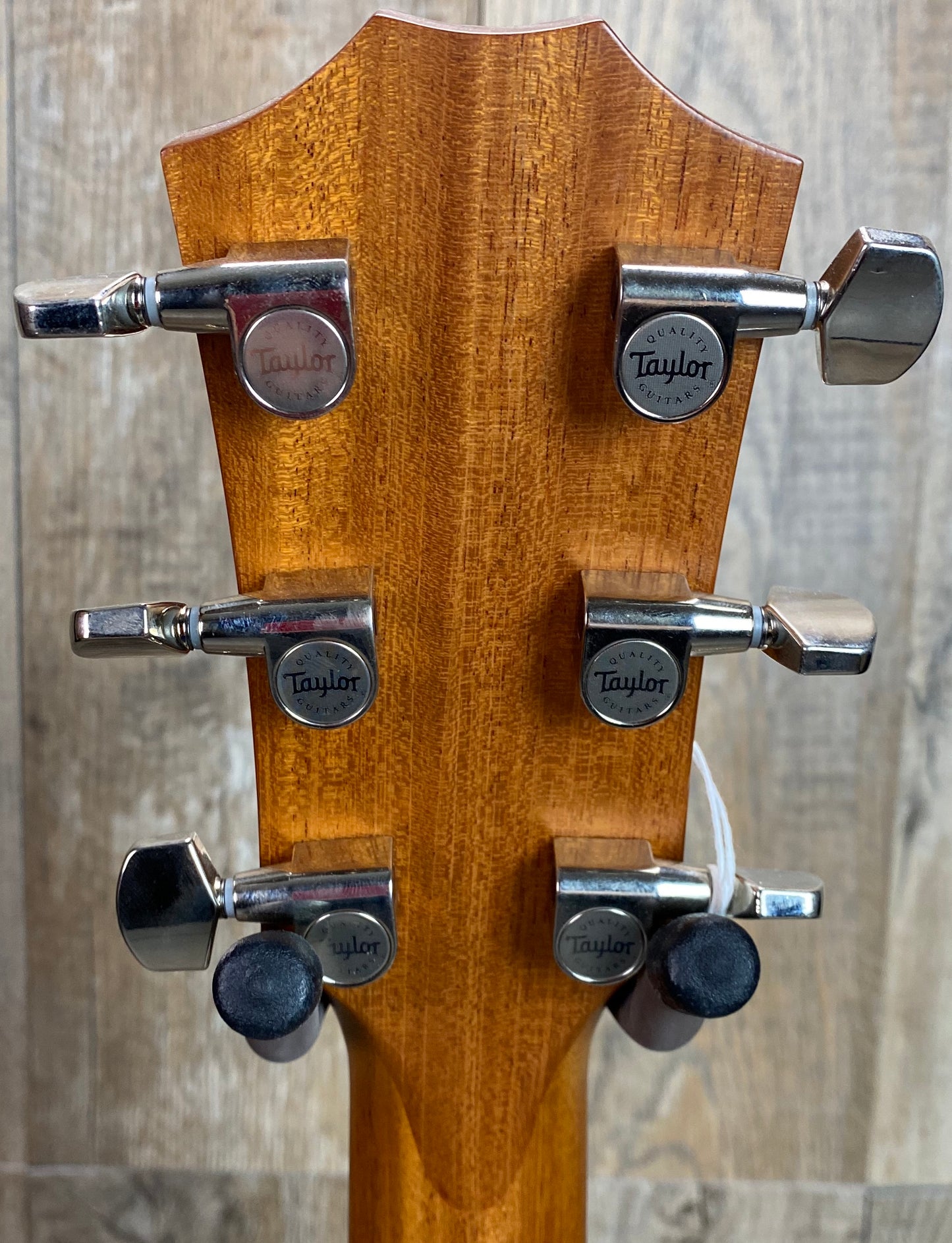 Back of Taylor 414ce-R Acoustic Guitar headstock Tone Shop Guitars DFW