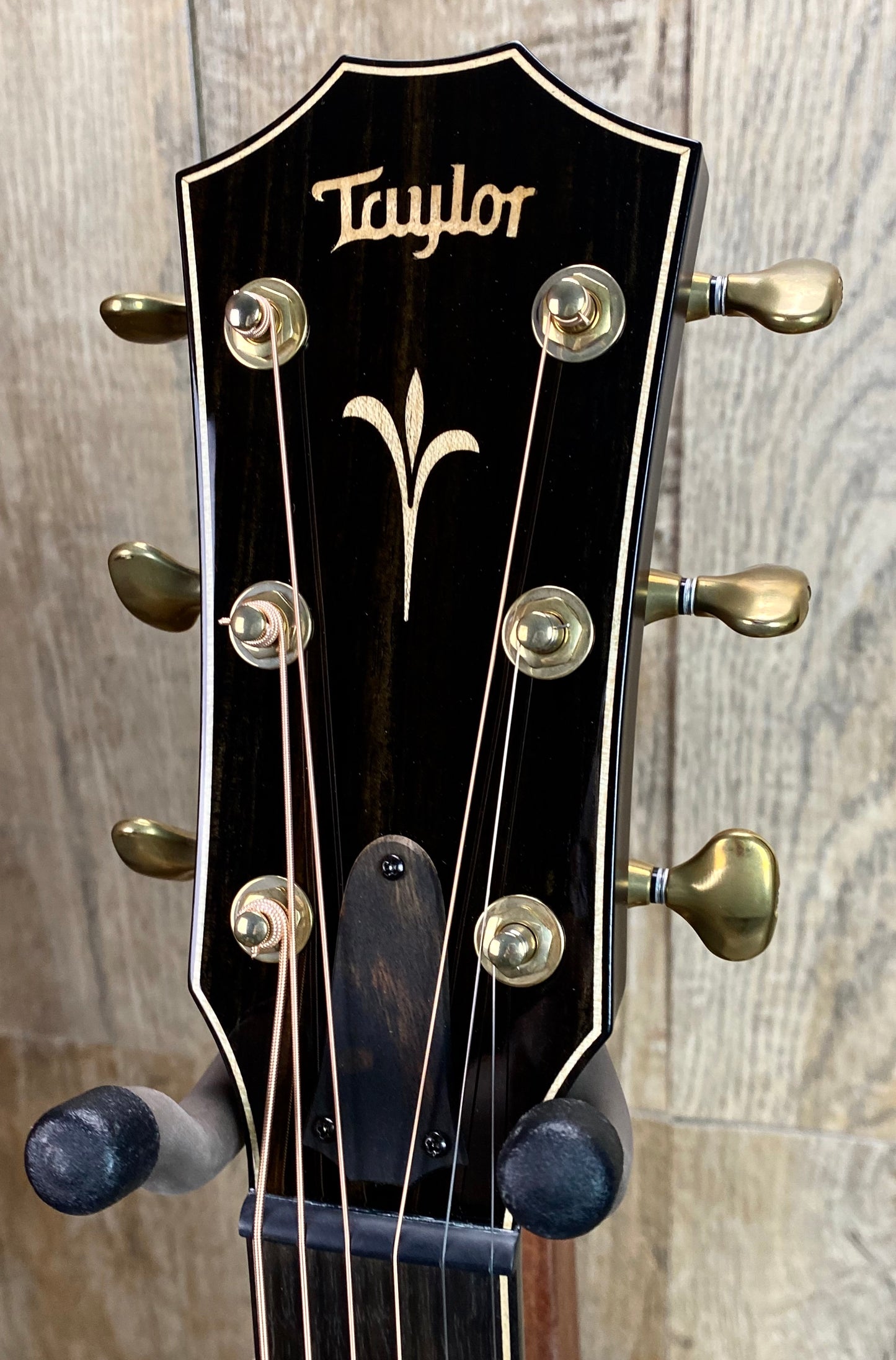 Taylor K26ce Acoustic Guitar headstock Tone Shop Guitars Dallas Fort Worth