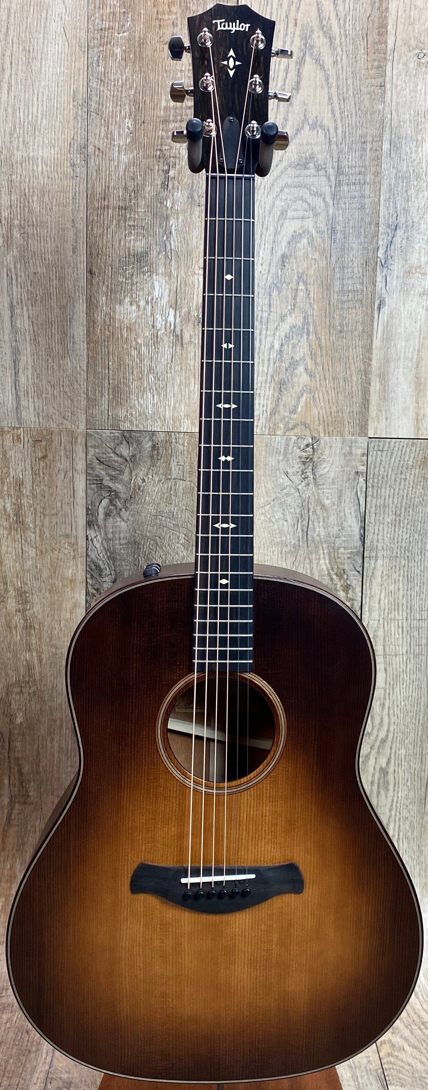 Full frontal of Taylor Builder's Edition 517e Grand Pacific V-Class Bracing Western Honeyburst.