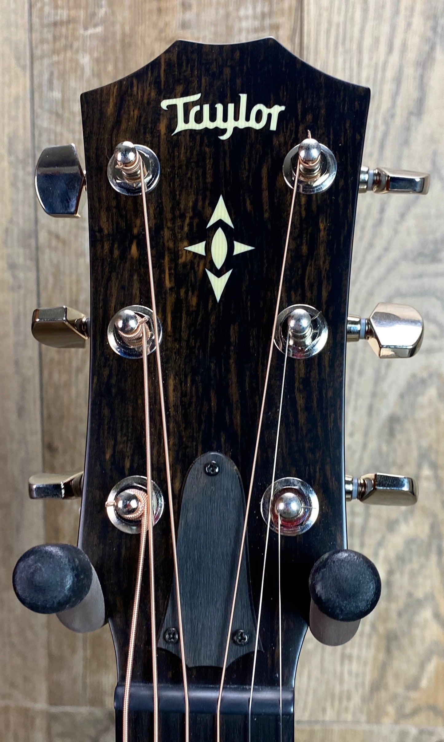 Close up of Taylor Builder's Edition 517e Grand Pacific V-Class Bracing Western Honeyburst headstock.