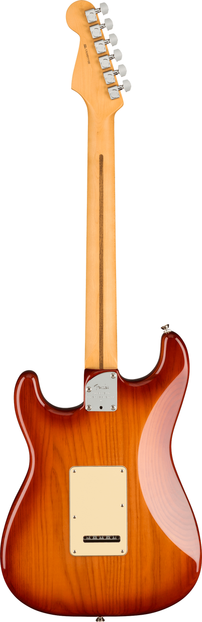 Back of Fender Stratocaster electric guitar in Sienna Sunburst Tone Shop Guitars Dallas