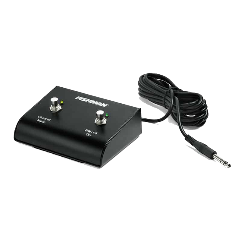 Front of Fishman Dual Footswitch for Loudbox Amplifiers.