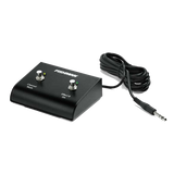 Front of Fishman Dual Footswitch for Loudbox Amplifiers.