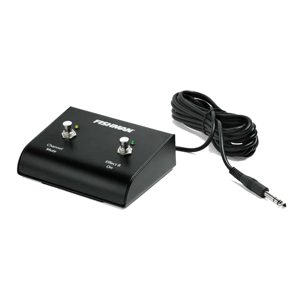 Front of Fishman Dual Footswitch for Loudbox Amplifiers.
