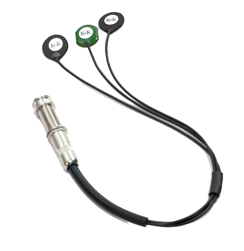 Top down of K&K Pure 12-String.