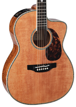 Front of Takamine Limited 2022 60th Anniversary AE Natural.