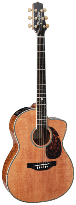 Full frontal of Takamine Limited 2022 60th Anniversary AE Natural.