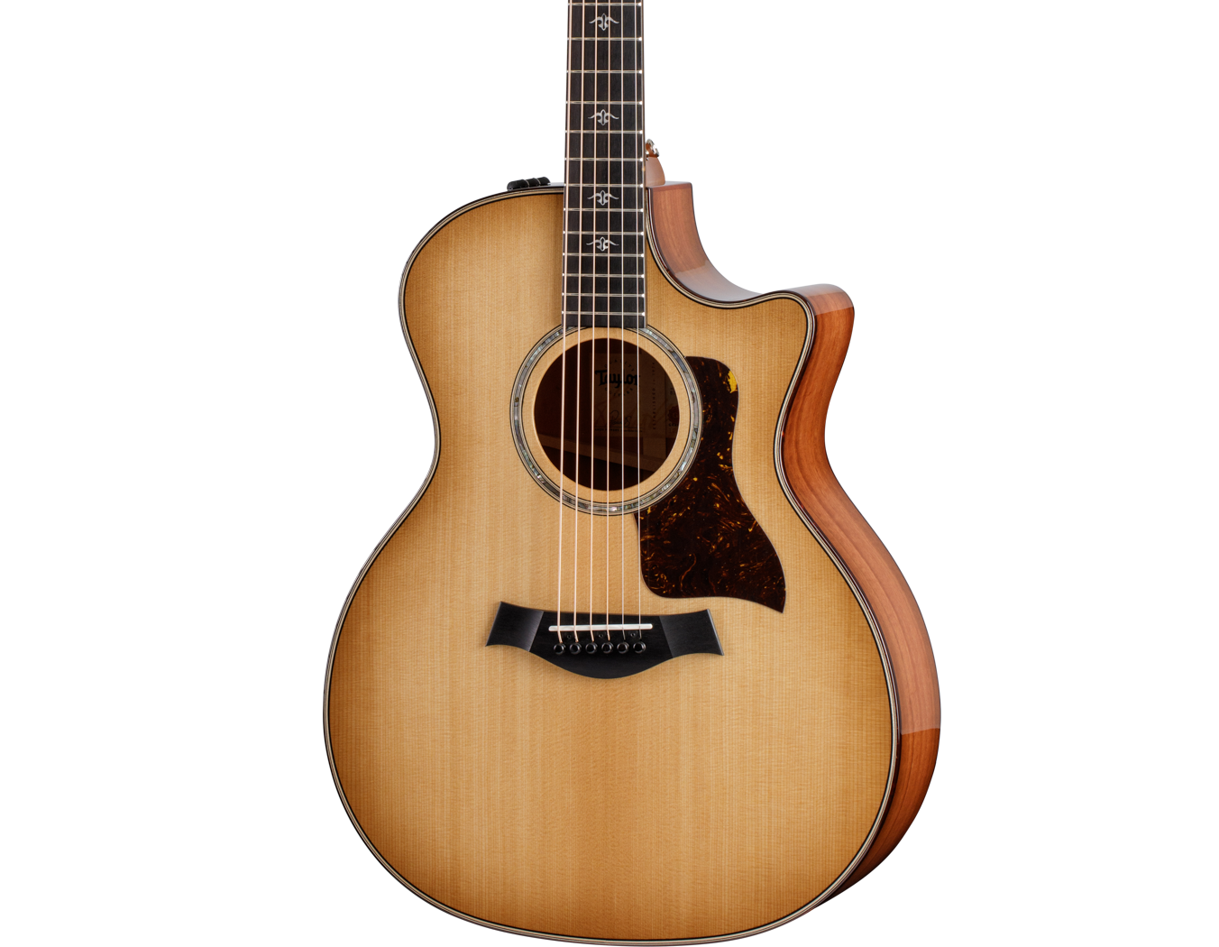 Front of Taylor 514ce Urban Ironbark/Torrefied Sitka.
