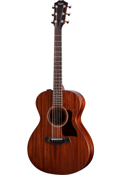 Full frontal of Taylor AD22e American Dream Natural.