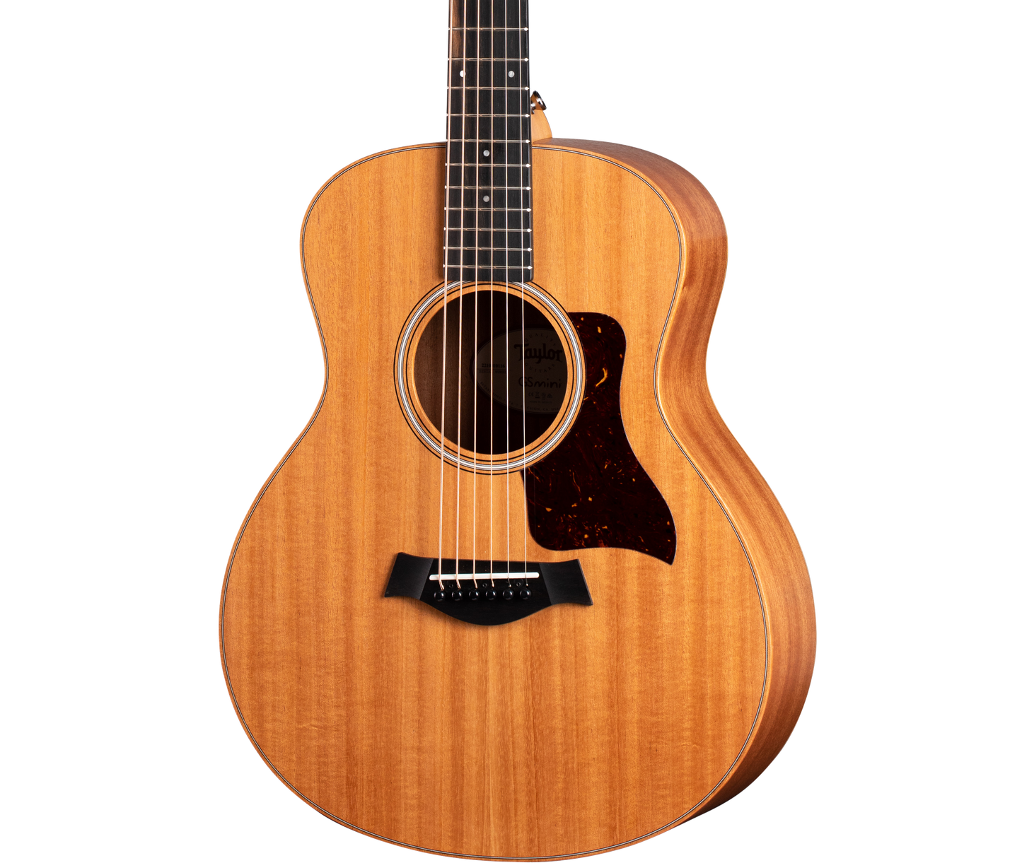 Taylor gs 2025 mini bag