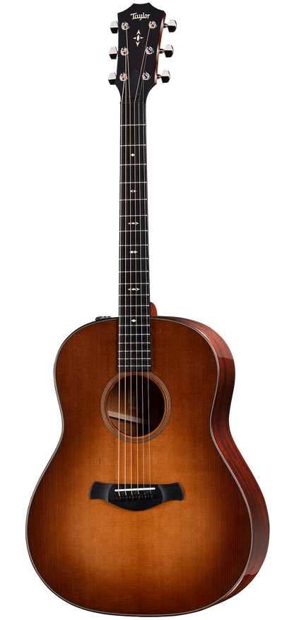 Full frontal of Taylor Builder's Edition 517e Grand Pacific V-Class Bracing Western Honeyburst.
