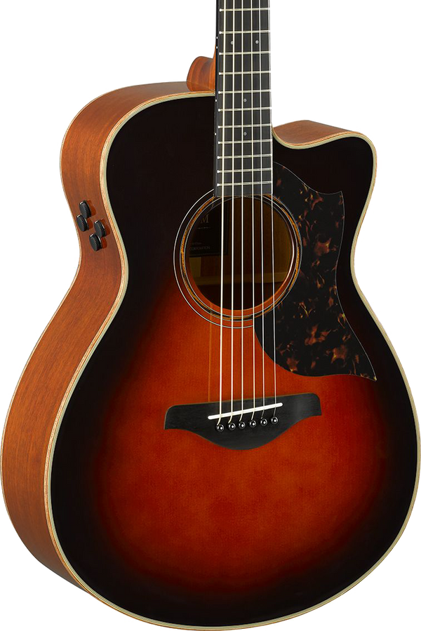 Front angle of Open Box Yamaha AC3M ARE Concert Cutaway Tobacco Brown Sunburst.
