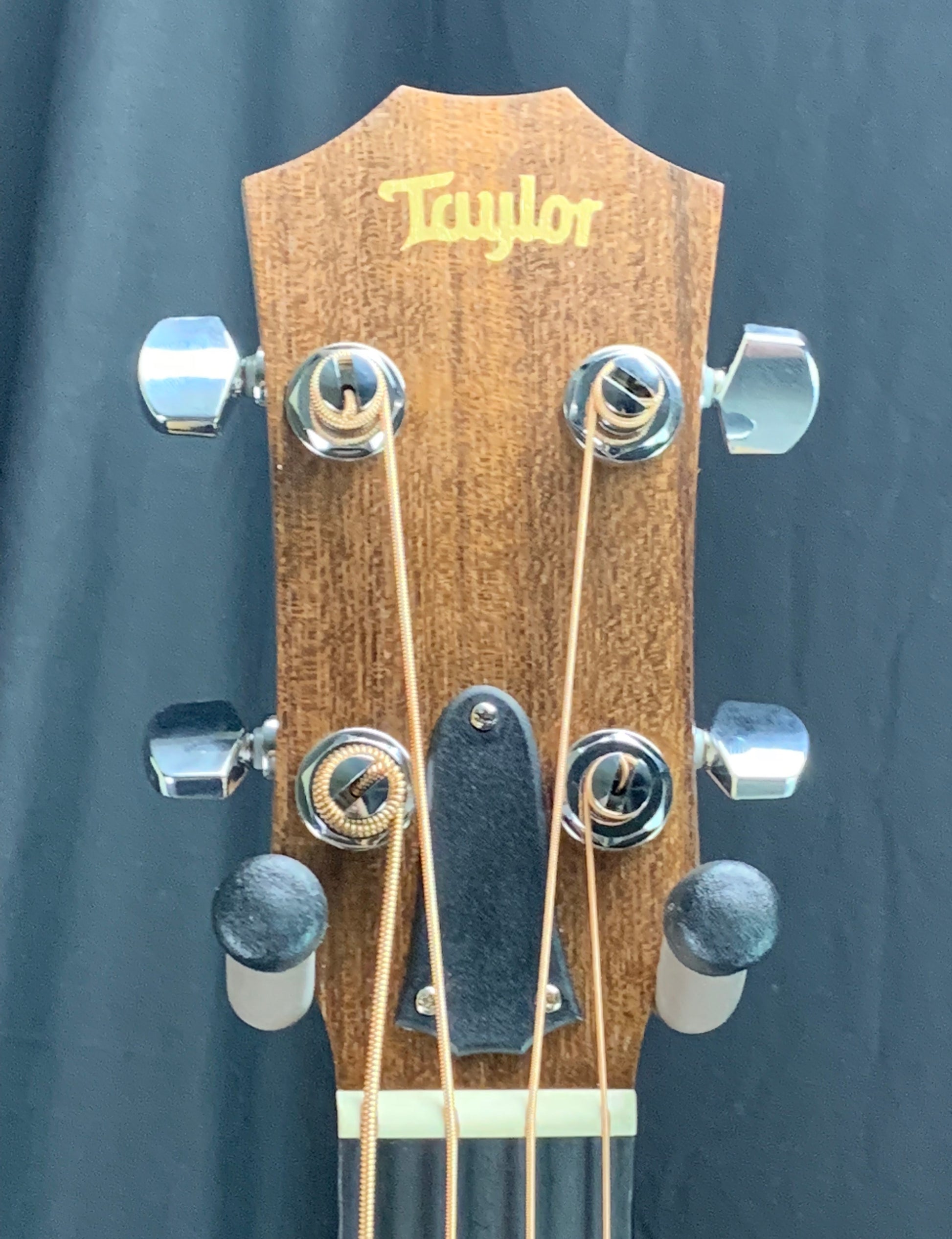 Close up of Taylor GS Mini-e Maple Bass headstock.