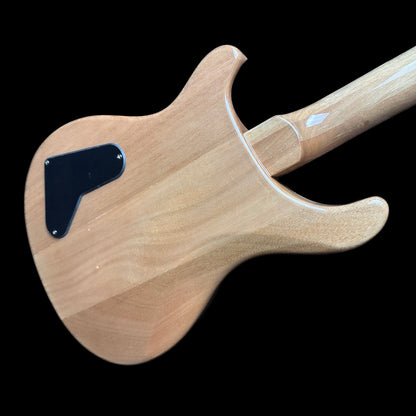 Back angle of PRS Paul Reed Smith SE Paul's Guitar Faded Blue Burst.